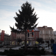 20190111_075512.jpg