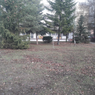 20190108_102218.jpg