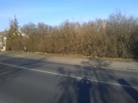 IMG_20190130_143256.jpg