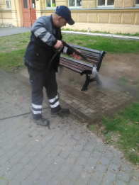 IMG_20190411_080208.jpg