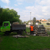 20190430_084351.jpg