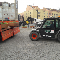 foto.jpg