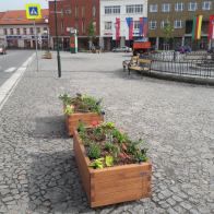 foto1.jpg