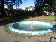 IMG_20190703_182555.jpg