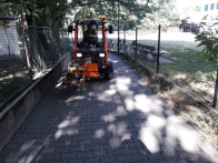 20190710_085310.jpg