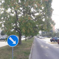 20190722_072418.jpg
