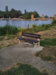 IMG_20190730_063804.jpg