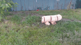 20200528_085325.jpg