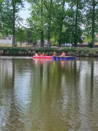 IMG_20220516_162447.jpg
