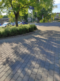IMG_20220812_083620.jpg